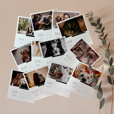 Calendare &  Kind Reminder - Calendar BestFriends- 12 poze magnetice personalizate