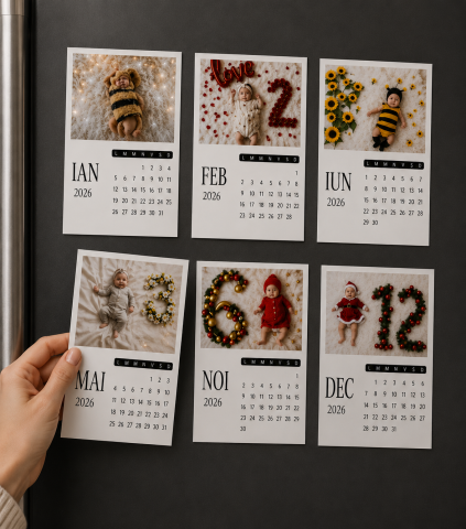 Calendare &  Kind Reminder - Calendar de Amintiri -12 poze magnetice personalizate
