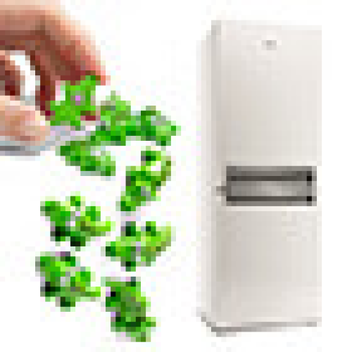 Magneți de frigider