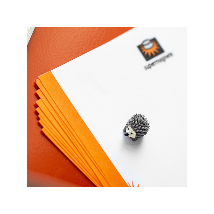 Magneți de frigider - arici - 6 buc. [5]