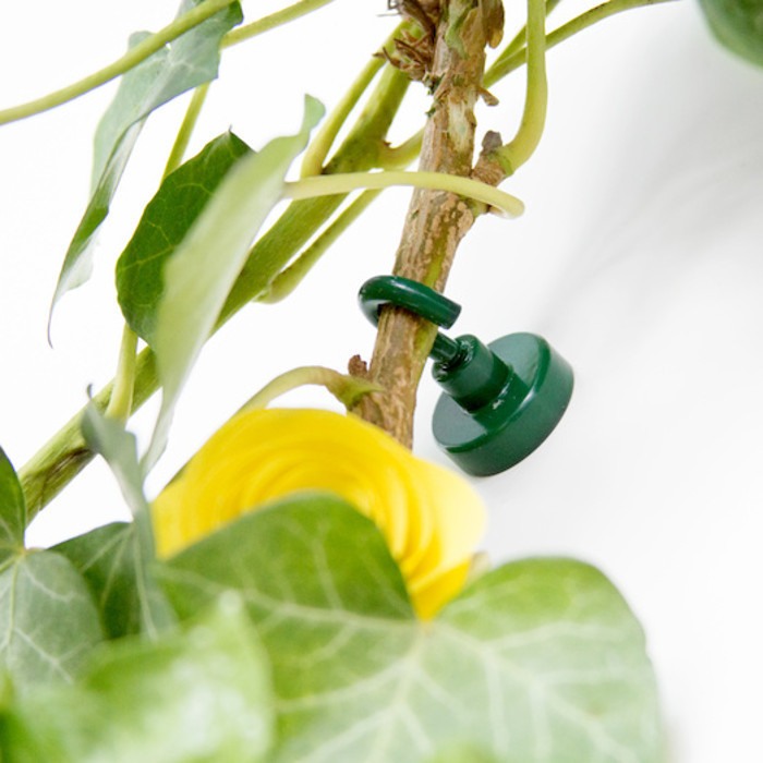 Oală magnetică cu cârlig (cârlig magnetic) diam. 25 N verde [3]