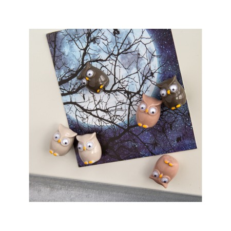Magneți de frigider - bufnițe - 6 buc. [2]