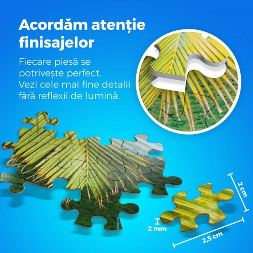 Puzzle 1000 - Locuri Celebre Plaja Maya Bay [2]