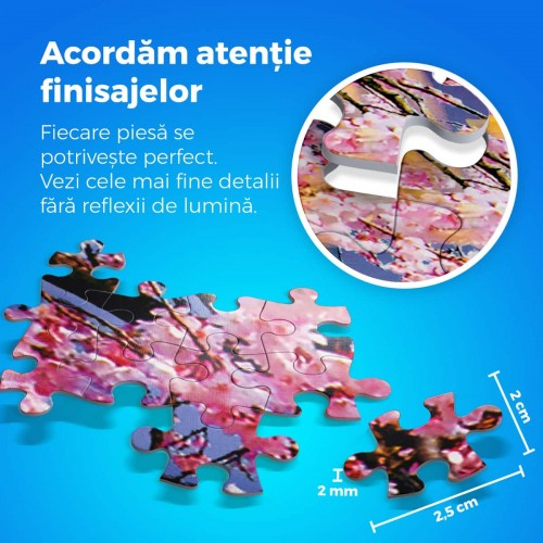 Puzzle 1000 - Locuri Celebrei Muntele Fuji Japonia [2]