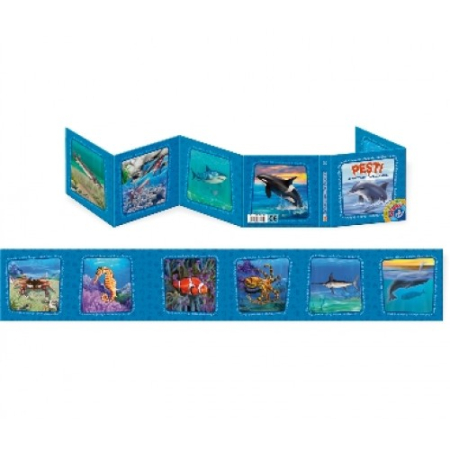 Carte Plianta - Pesti [1]