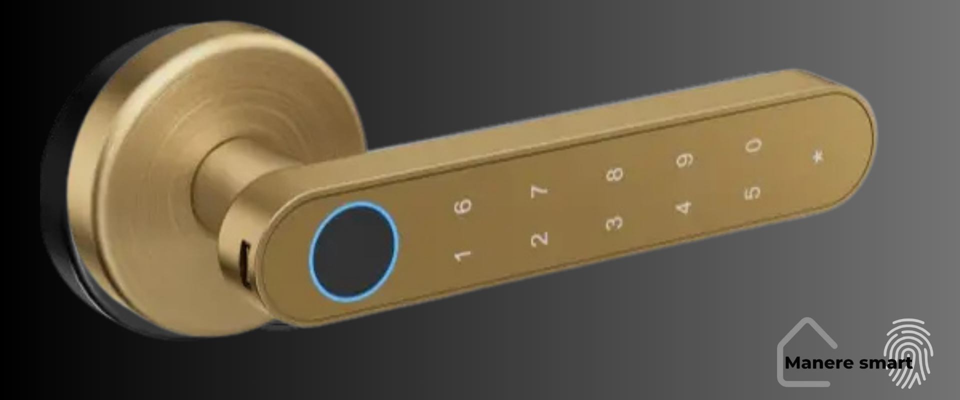 ManereSmart Hong Kong – Mâner smart cu amprentă, cod PIN, bluetooth și cheie, universal pentru uși de interior, 8 opțiuni de acces, auriu mat