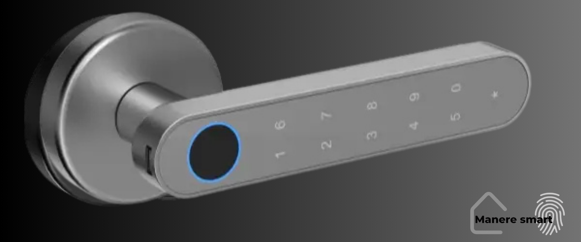 ManereSmart Hong Kong – Mâner smart cu amprentă, cod PIN, bluetooth și cheie, universal pentru uși de interior, 8 opțiuni de acces, auriu mat