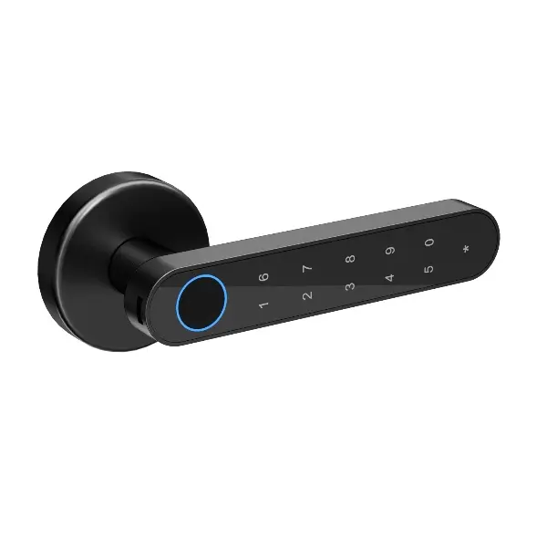 mâner smart Hong Kong cu amprentă digitală, cod PIN, bluetooth – smart lock interior pentru uși [1]