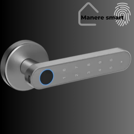 maner inteligent Hong Kong gri mat cu amprenta bluetooth wifi tuya maneresmart.ro [1]