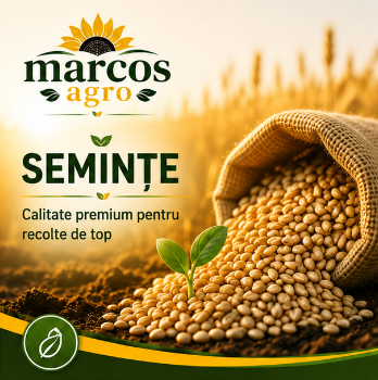 seminte
