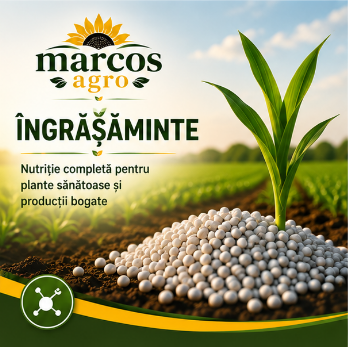 Ingrasamant