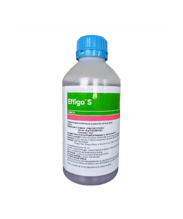 Erbicide - Erbicid EFFIGO S – 1 Litru, Rapita