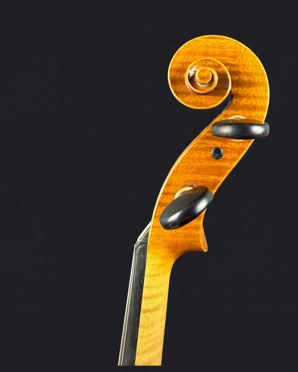Vioară de Maestru Mare Vasile Nr. 293 (2023) - Model Stradivari [9]
