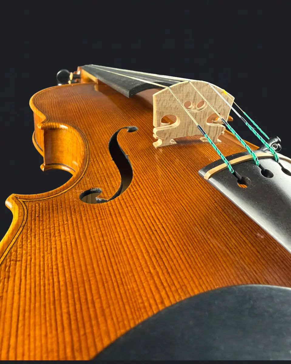 Vioară de Maestru Mare Vasile Nr. 293 (2023) - Model Stradivari [3]
