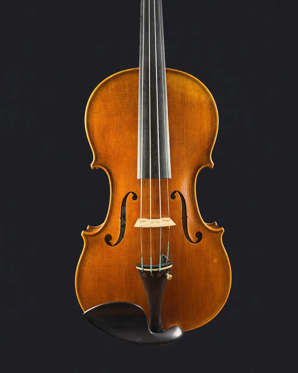 Vioară de Maestru Mare Vasile Nr. 293 (2023) - Model Stradivari [6]