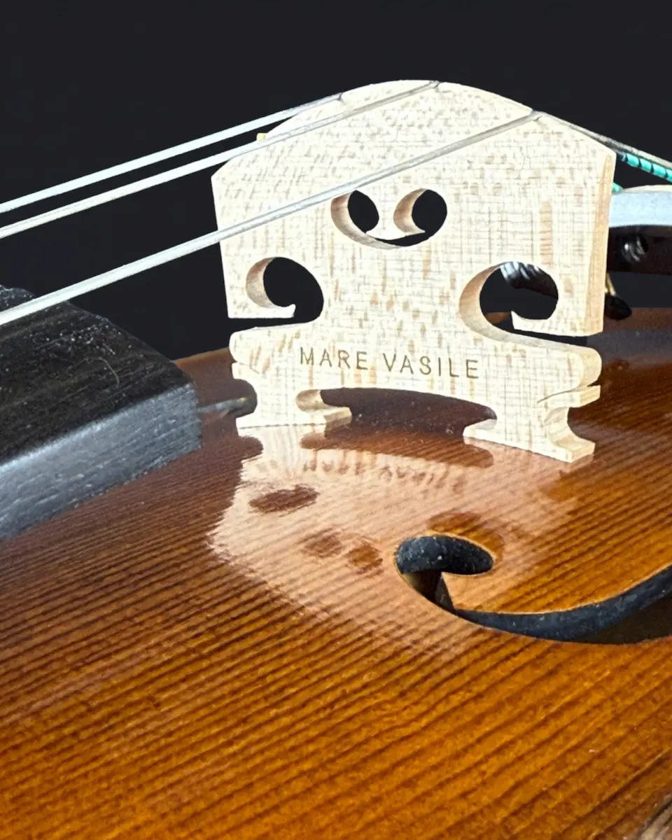Vioară de Maestru Mare Vasile Nr. 293 (2023) - Model Stradivari [2]
