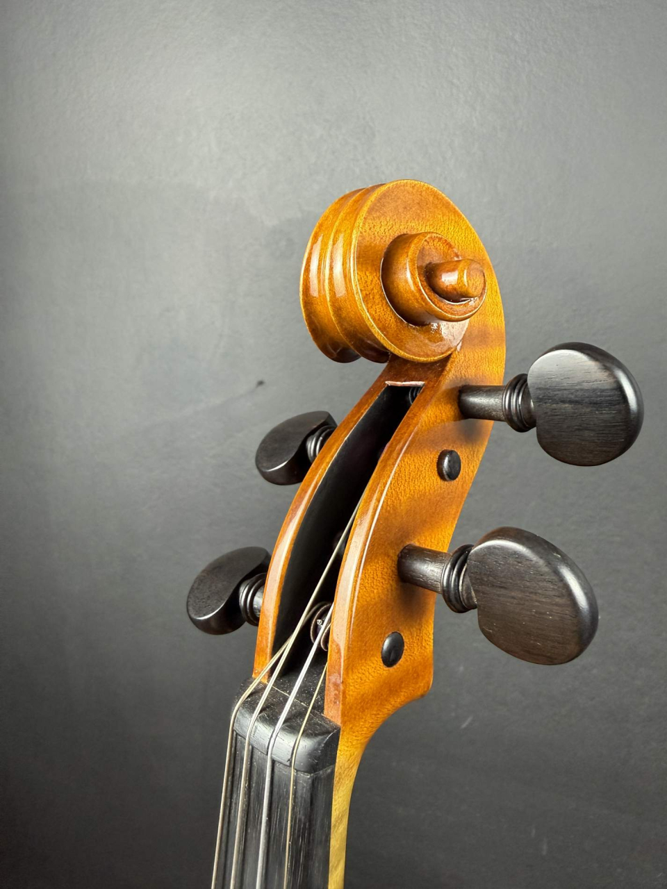 Vioară de Maestru Mare Vasile Nr. 294 (2023) - Nicolo Amati 1666 [6]