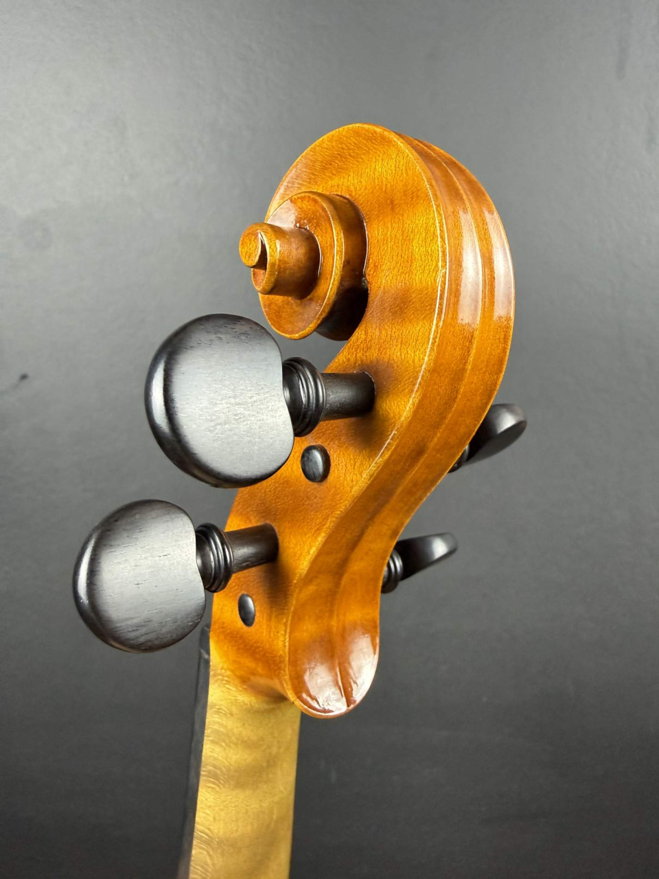 Vioară de Maestru Mare Vasile Nr. 294 (2023) - Nicolo Amati 1666 [7]