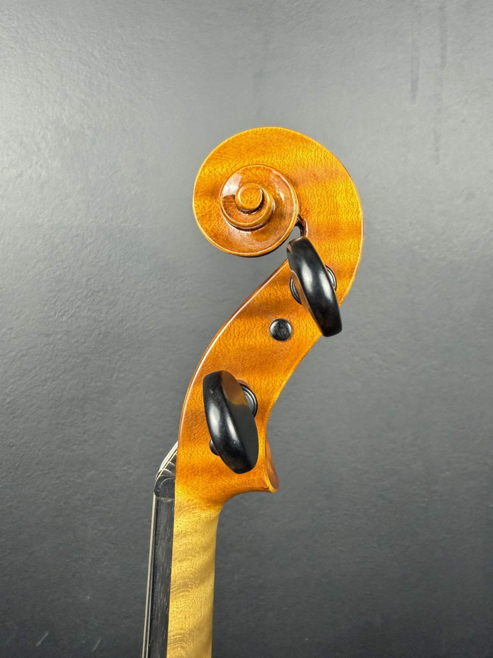 Vioară de Maestru Mare Vasile Nr. 294 (2023) - Nicolo Amati 1666 [5]