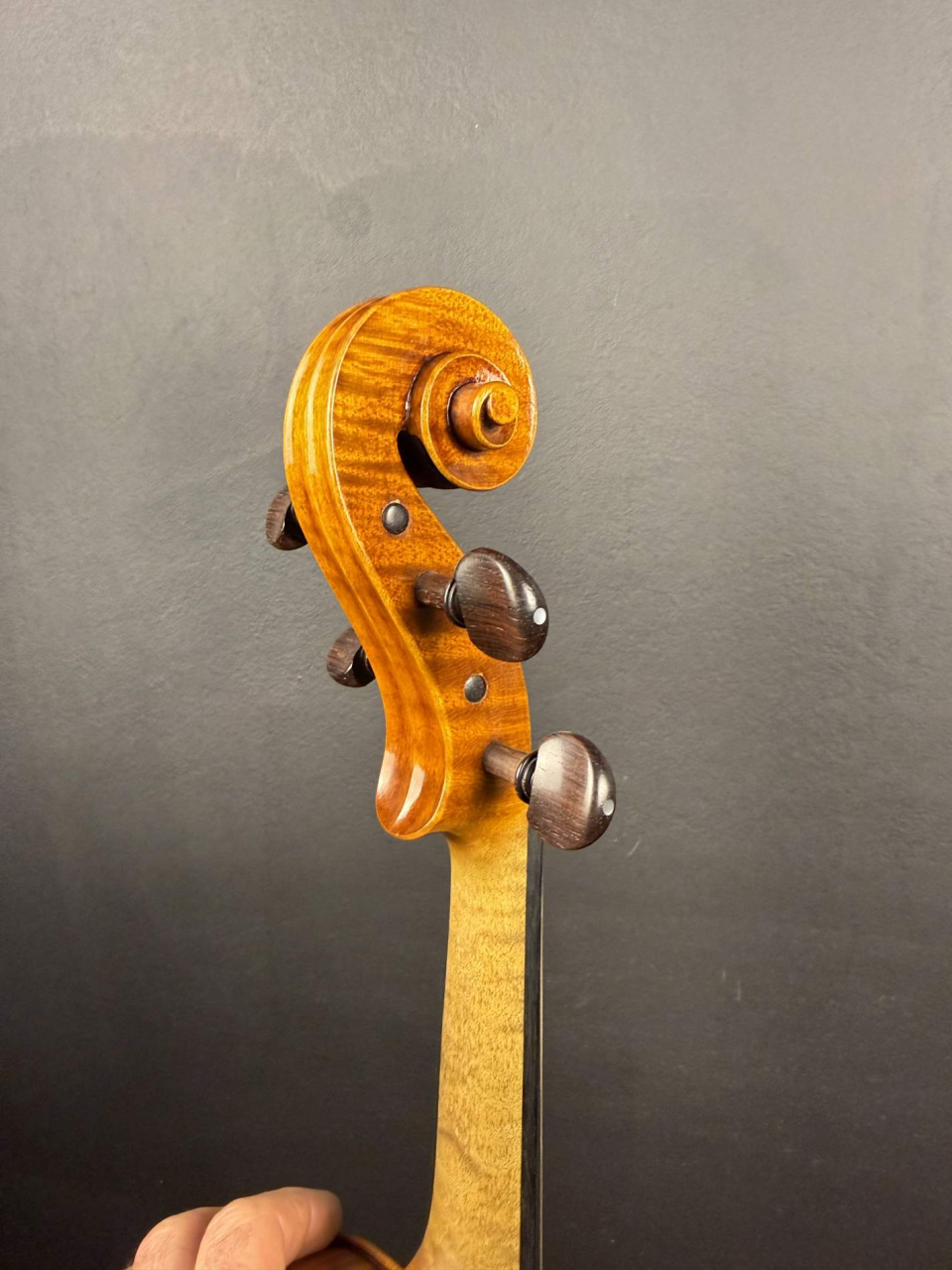 Violă de Maestru Mare Vasile Nr. 123 (2022) - Model Stradivari [5]