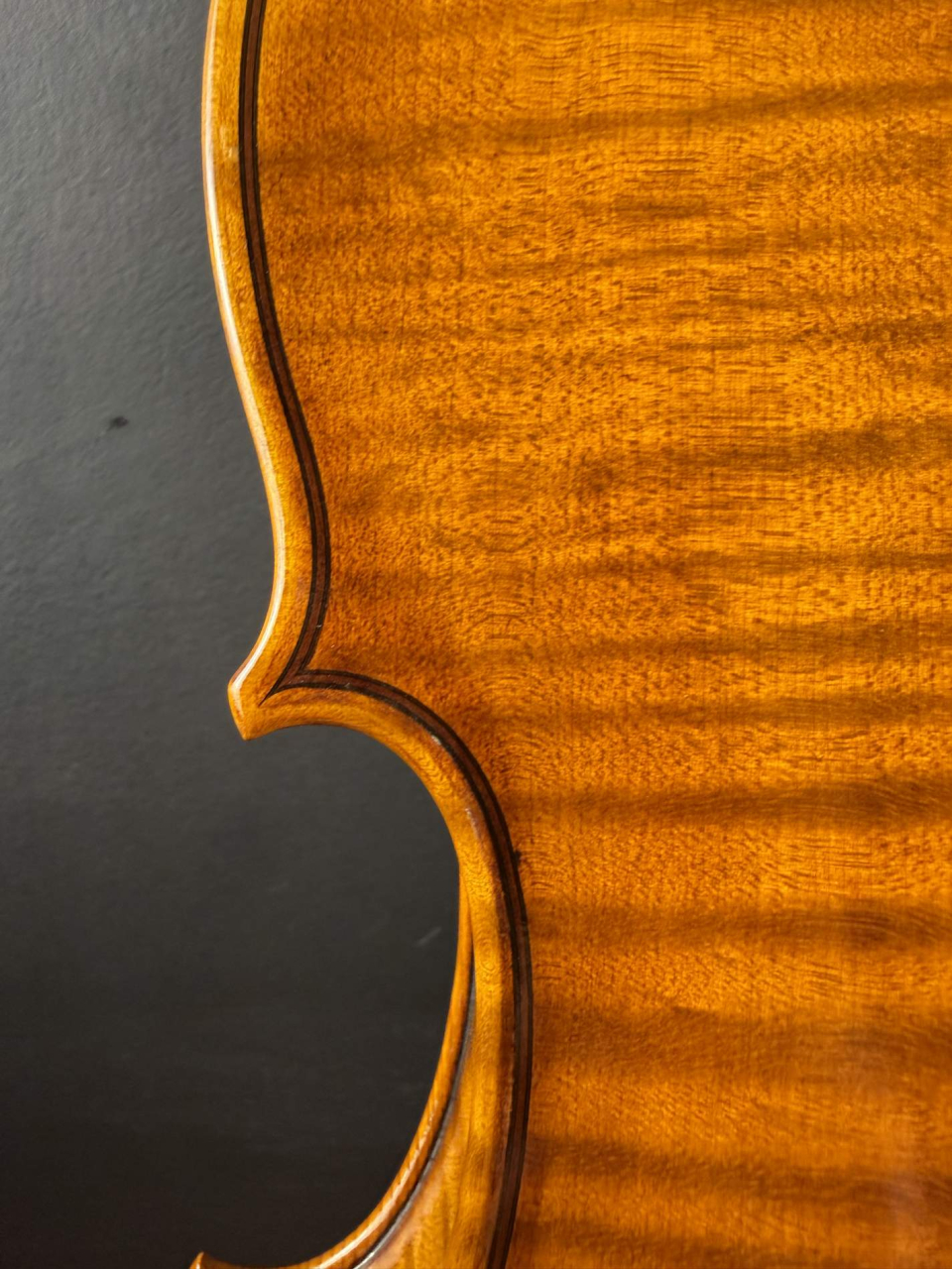 Violă de Maestru Mare Vasile Nr. 123 (2022) - Model Stradivari [9]