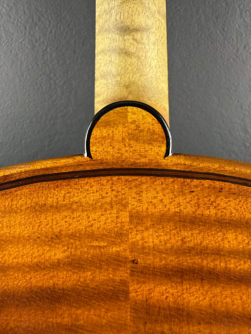 Violă de Maestru Mare Vasile Nr. 123 (2022) - Model Stradivari [8]