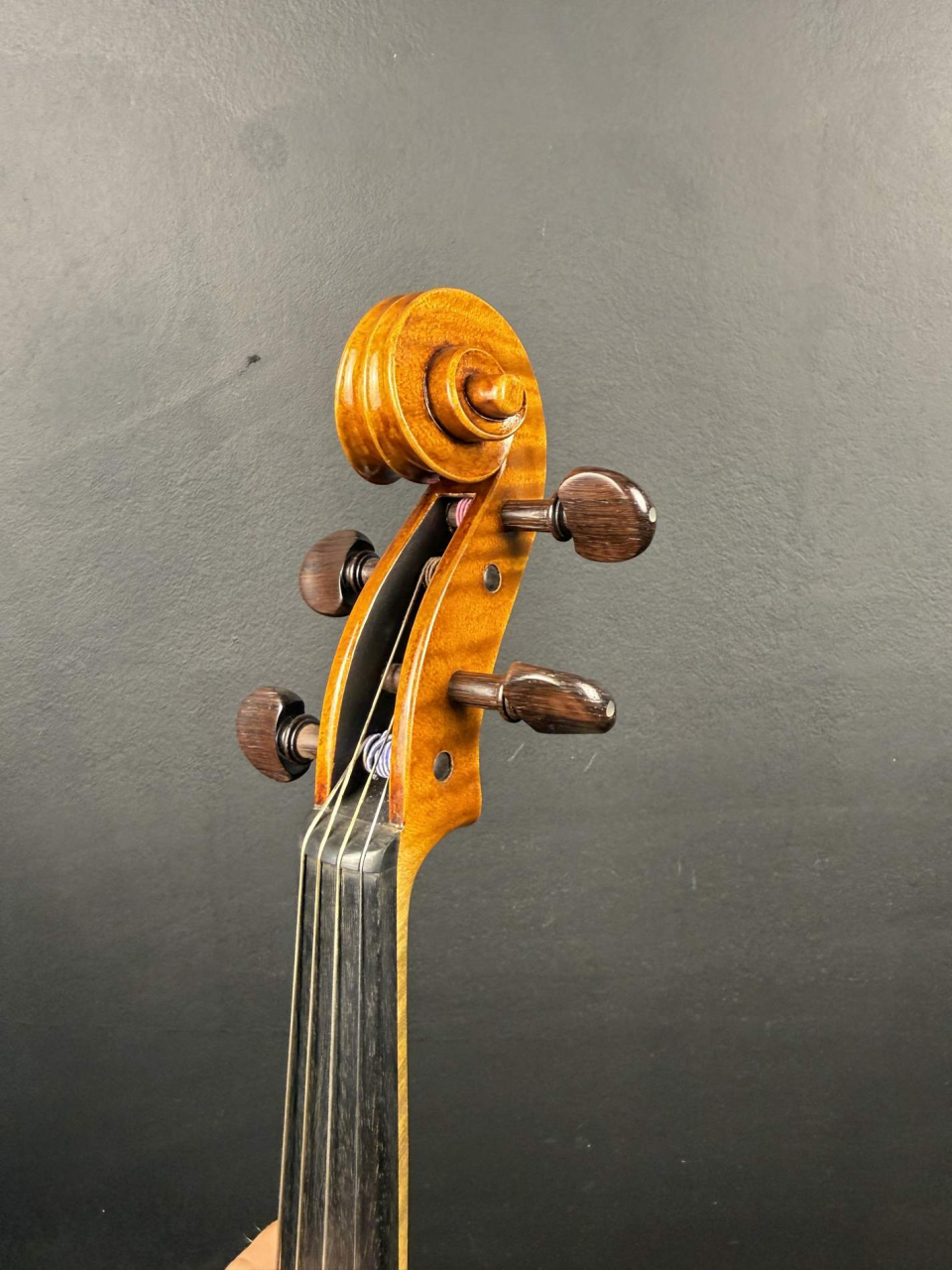 Violă de Maestru Mare Vasile Nr. 123 (2022) - Model Stradivari [6]