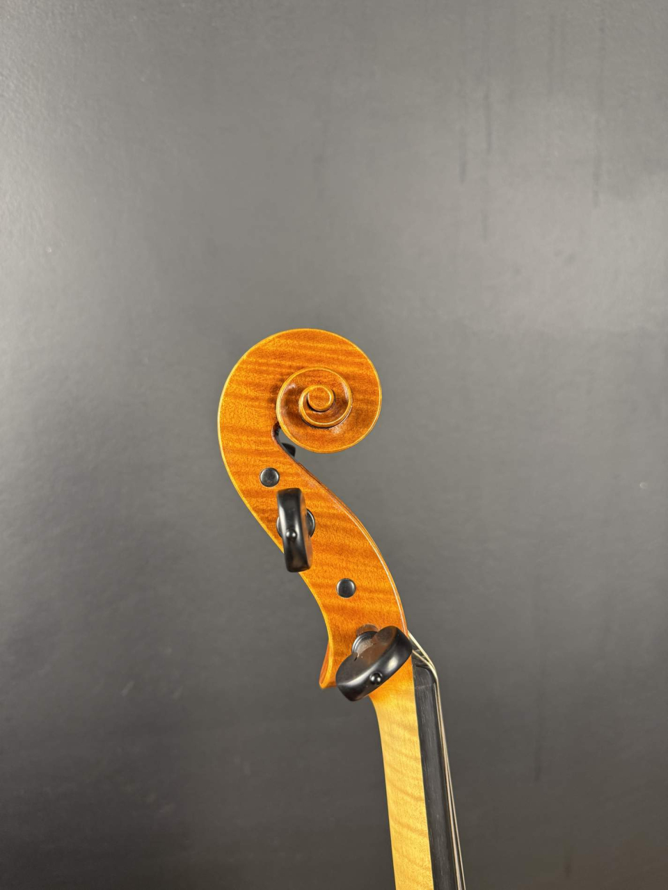 Violă de Maestru Mare Vasile Nr. 128 (2023) - Model Stradivari [4]