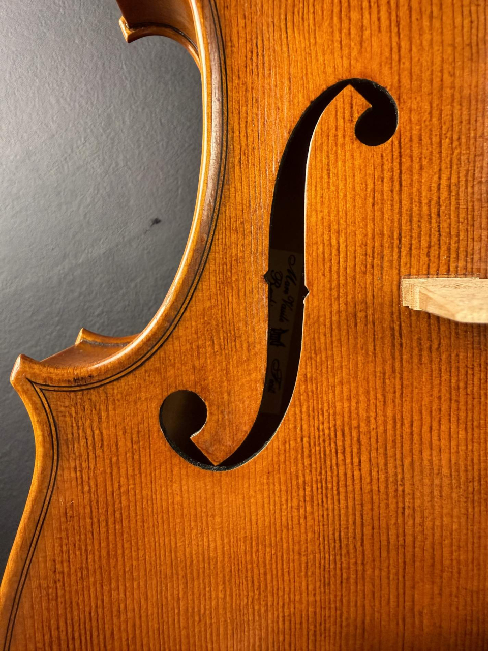 Violă de Maestru Mare Vasile Nr. 128 (2023) - Model Stradivari [14]