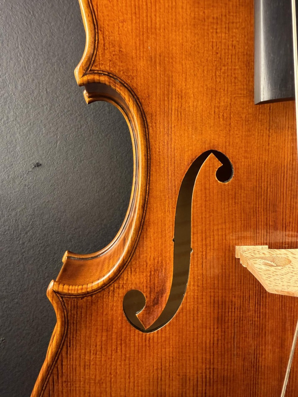 Violă de Maestru Mare Vasile Nr. 131 (2025) - Model Guarneri [15]