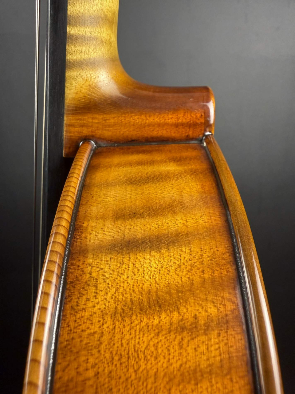 Violă de Maestru Mare Vasile Nr. 131 (2025) - Model Guarneri [8]