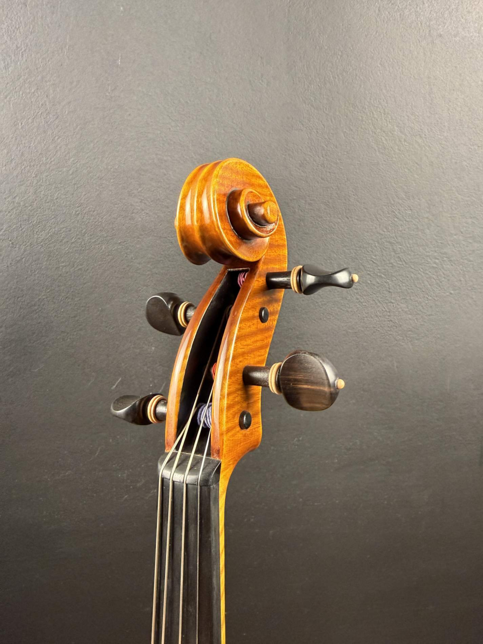 Violă de Maestru Mare Vasile Nr. 131 (2025) - Model Guarneri [3]