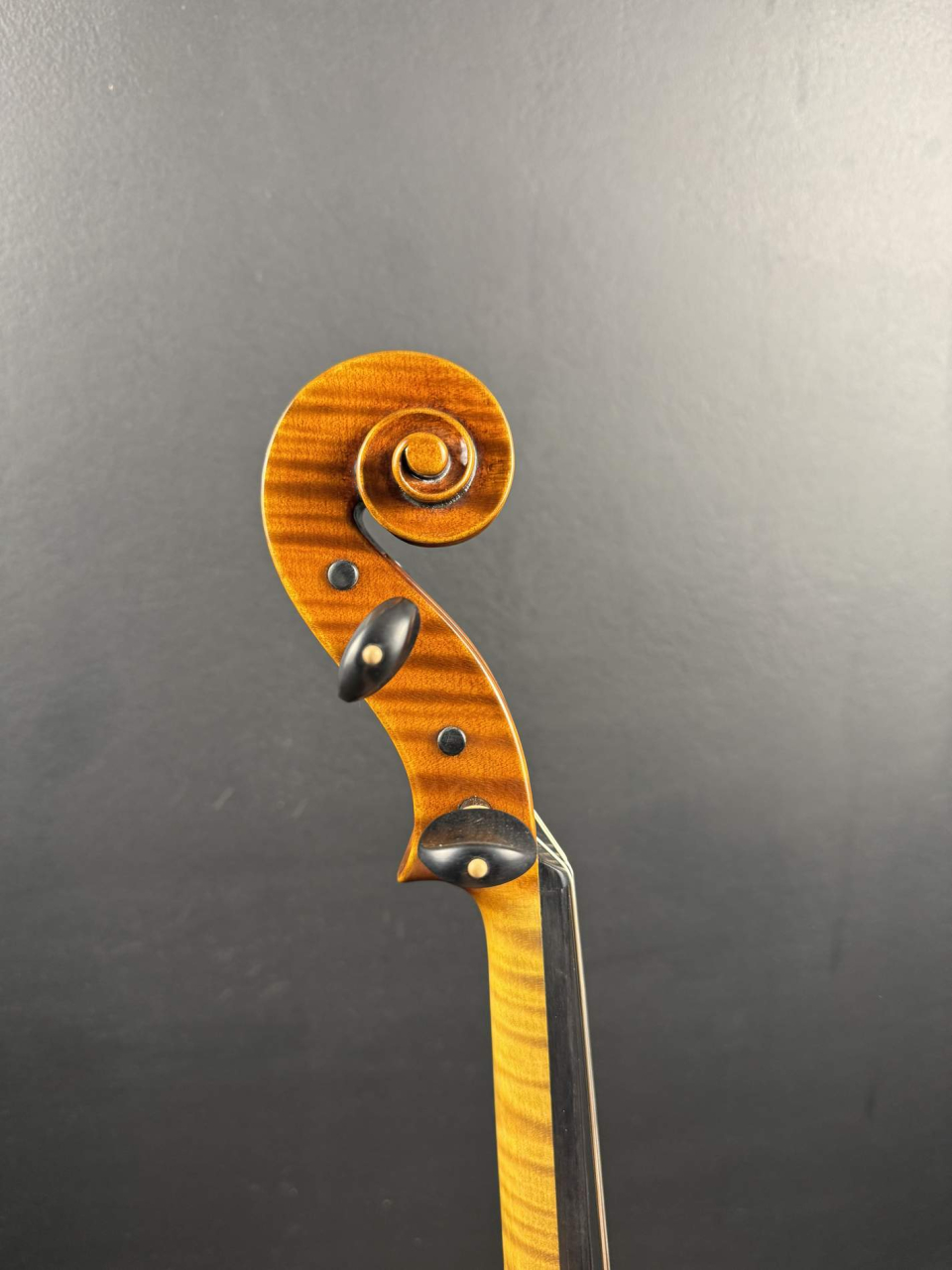 Violă de Maestru Mare Vasile Nr. 131 (2025) - Model Guarneri [16]