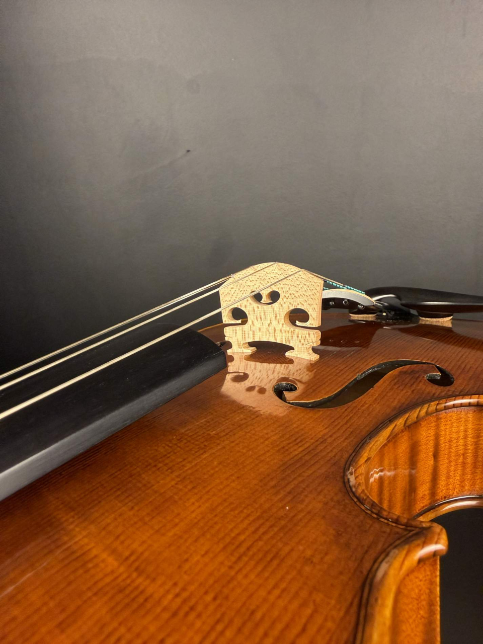 Violă de Maestru Mare Vasile Nr. 131 (2025) - Model Guarneri [7]