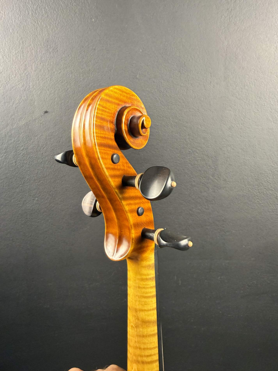 Violă de Maestru Mare Vasile Nr. 131 (2025) - Model Guarneri [2]