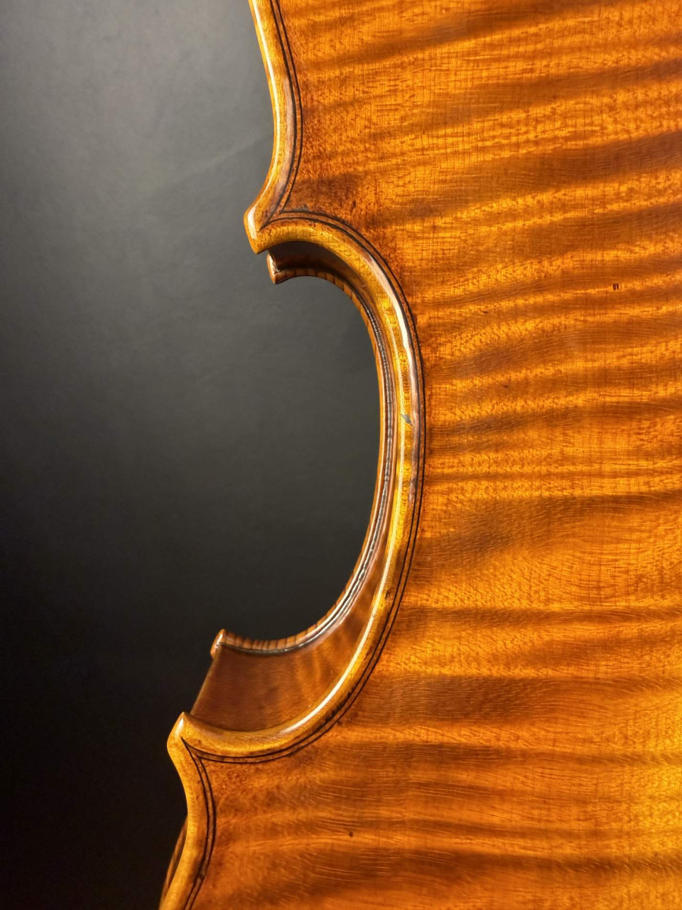 Violă de Maestru Mare Vasile Nr. 131 (2025) - Model Guarneri [9]