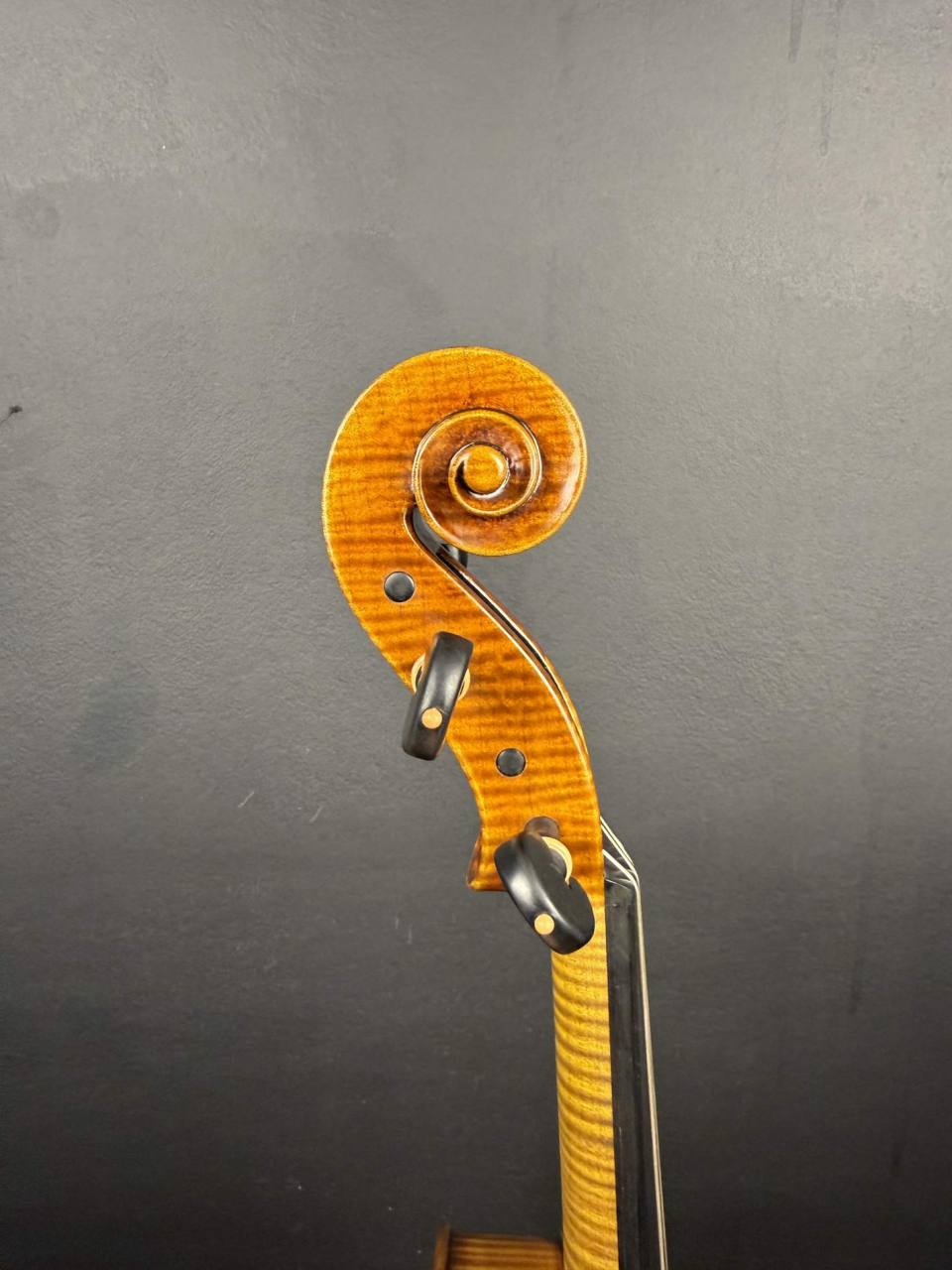 Violă de Maestru Mare Vasile Nr. 132 (2025) - Model Stradivari [15]
