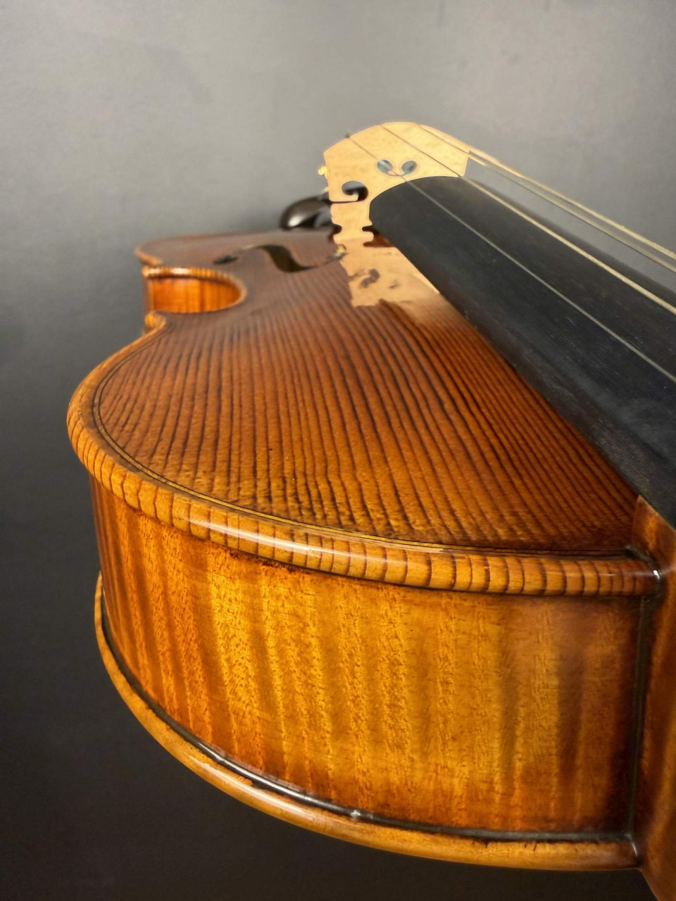 Violă de Maestru Mare Vasile Nr. 132 (2025) - Model Stradivari [6]