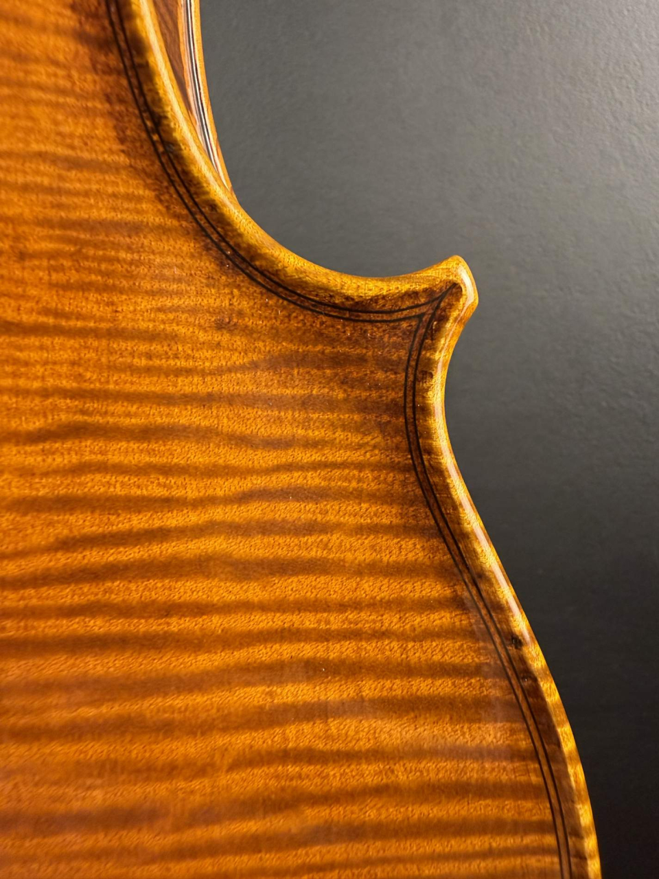 Violă de Maestru Mare Vasile Nr. 132 (2025) - Model Stradivari [8]