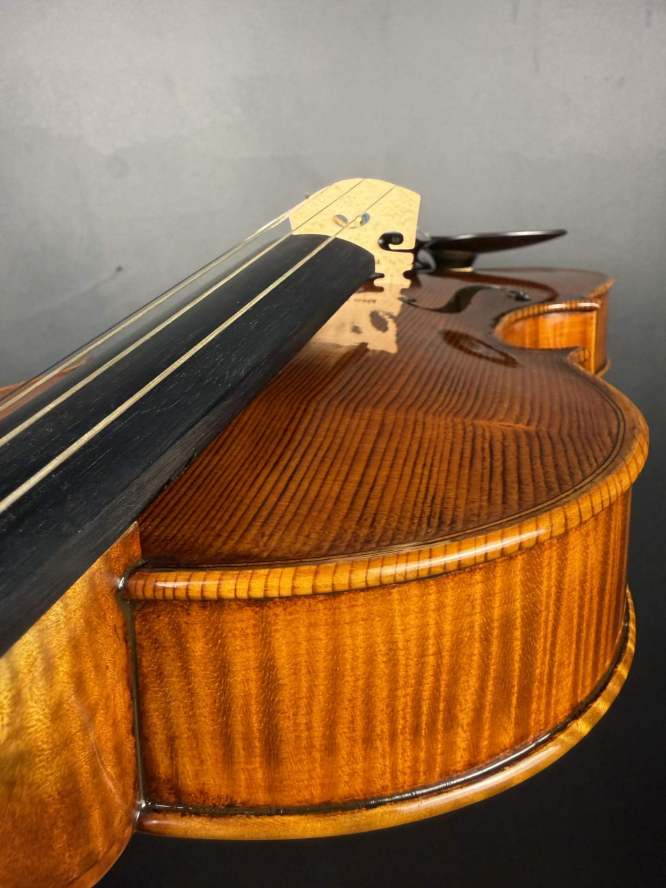 Violă de Maestru Mare Vasile Nr. 132 (2025) - Model Stradivari [5]