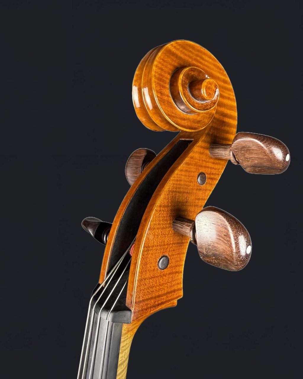 Violoncel 7/8 de Maestru Mare Vasile Nr. Eduard (2023) [5]