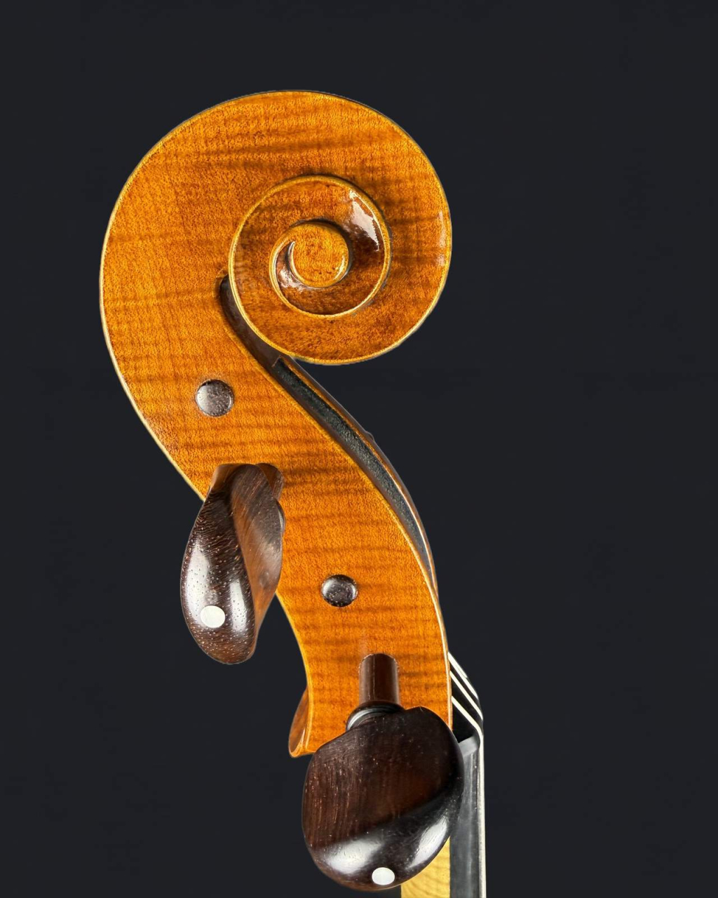 Violoncel 7/8 de Maestru Mare Vasile Nr. Eduard (2023) [3]