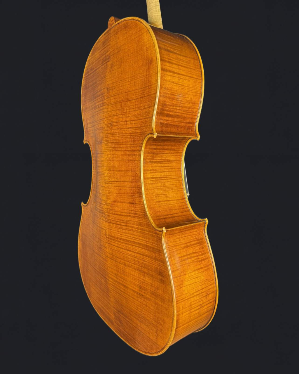 Violoncel 7/8 de Maestru Mare Vasile Nr. Eduard (2023) [8]