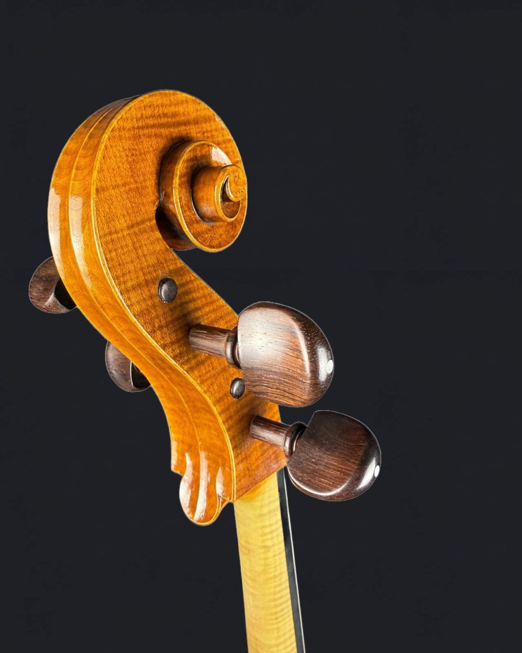 Violoncel 7/8 de Maestru Mare Vasile Nr. Eduard (2023) [4]