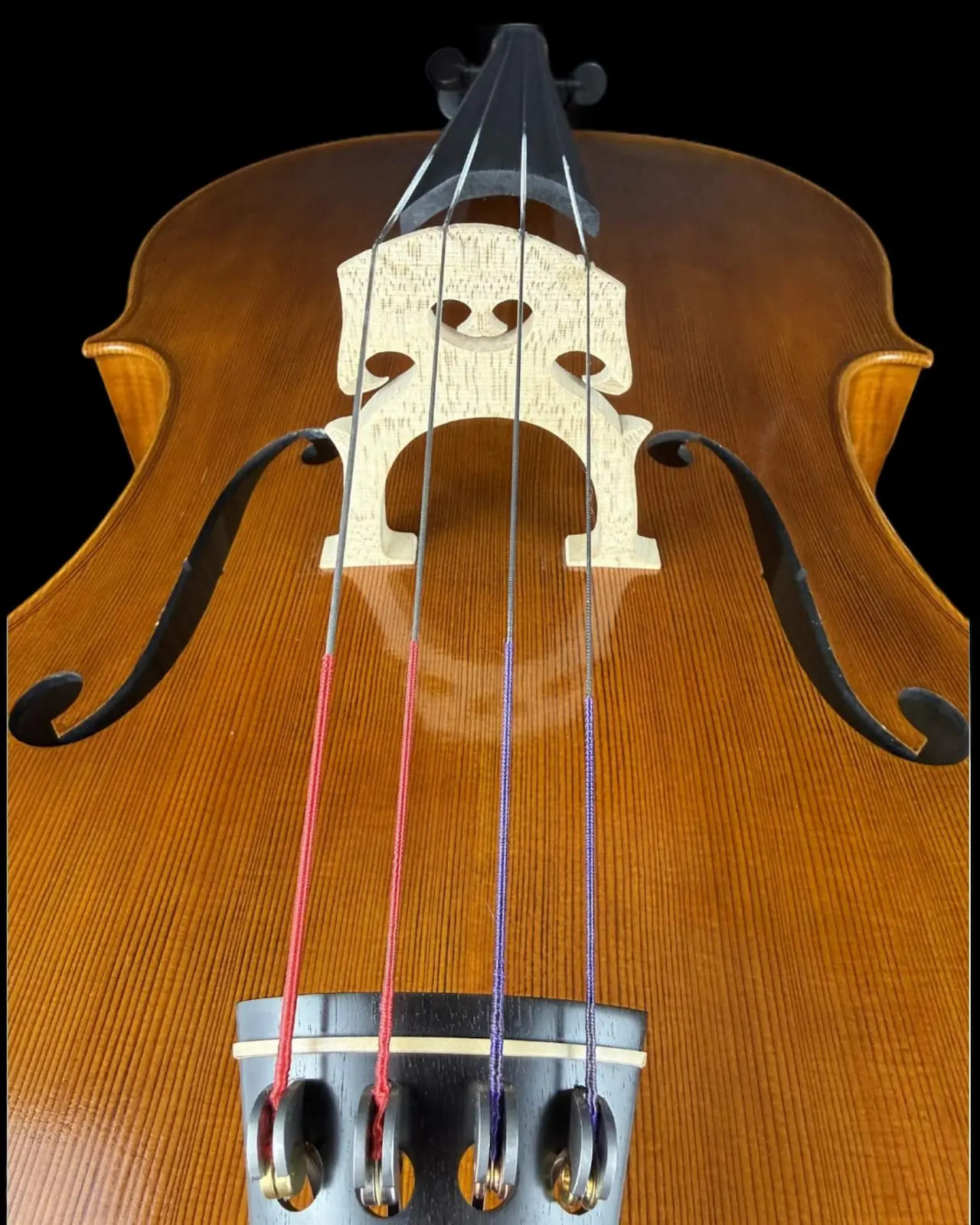 Violoncel de Maestru Mare Vasile Nr. 67 (2025) - Matteo Gofriller 1693 [2]