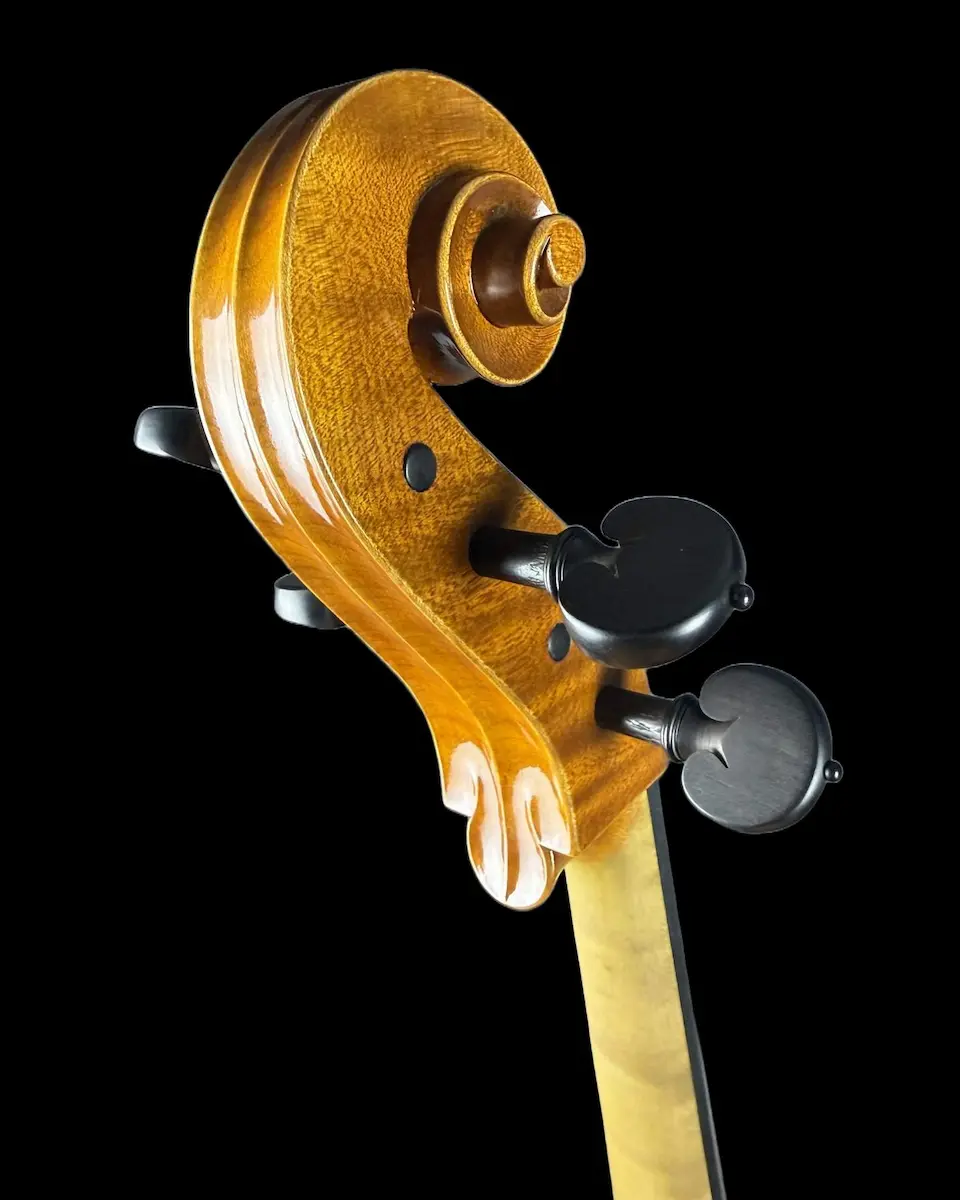 Violoncel de Maestru Mare Vasile Nr. 67 (2025) - Matteo Gofriller 1693 [5]