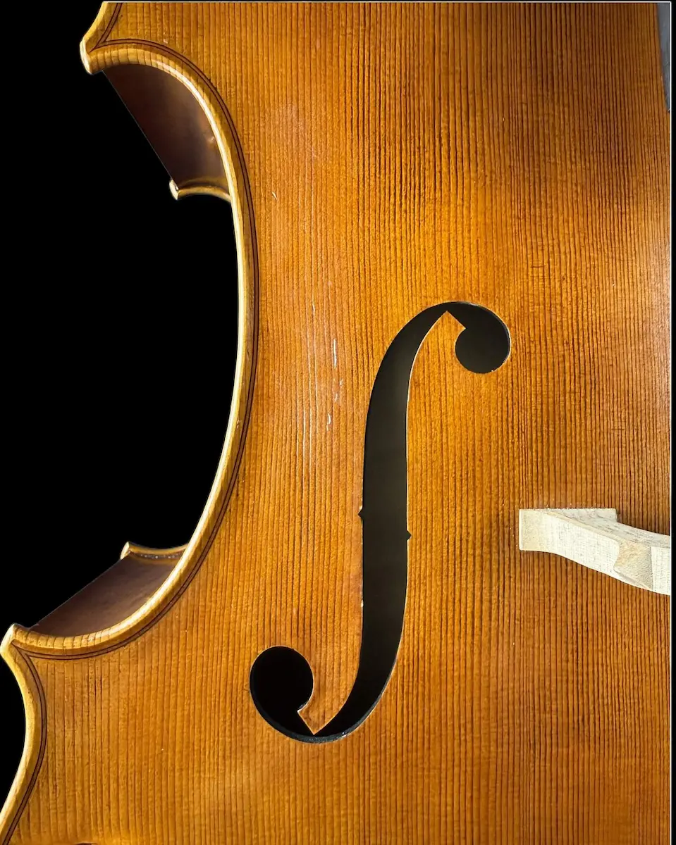 Violoncel de Maestru Mare Vasile Nr. 67 (2025) - Matteo Gofriller 1693 [4]