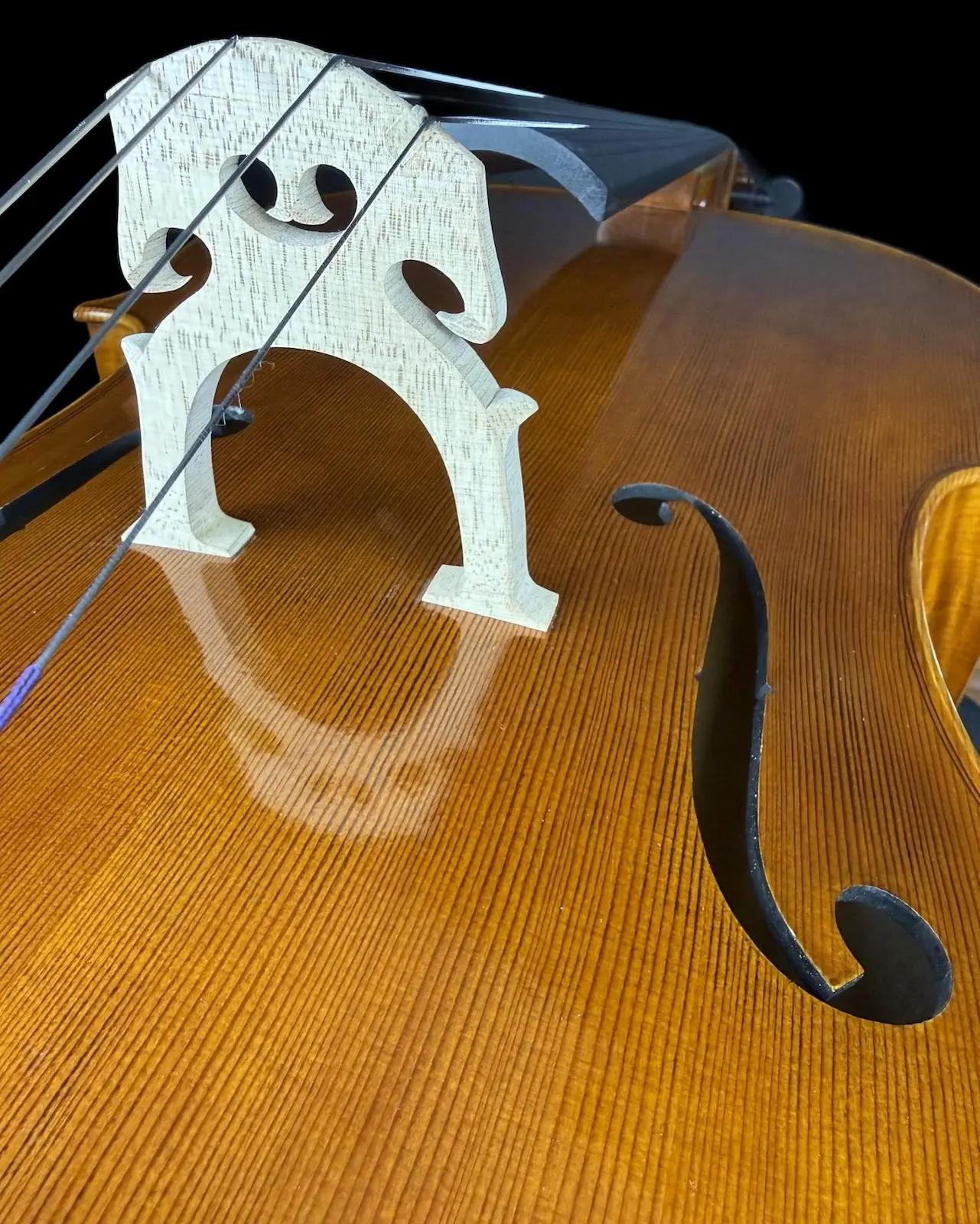 Violoncel de Maestru Mare Vasile Nr. 67 (2025) - Matteo Gofriller 1693 [3]