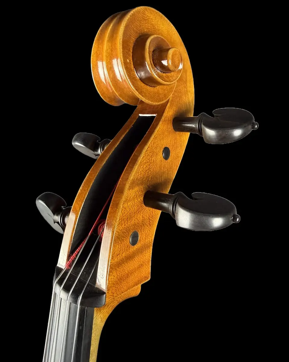 Violoncel de Maestru Mare Vasile Nr. 67 (2025) - Matteo Gofriller 1693 [7]