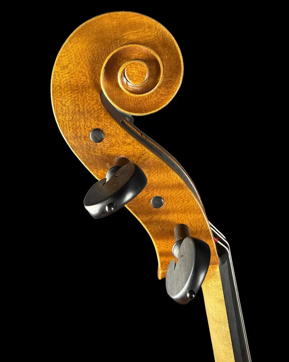 Violoncel de Maestru Mare Vasile Nr. 67 (2025) - Matteo Gofriller 1693 [6]